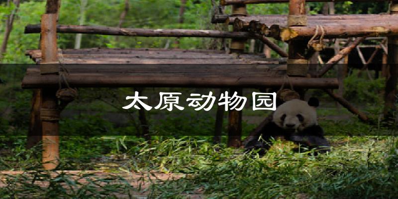 太原动物园今日天气