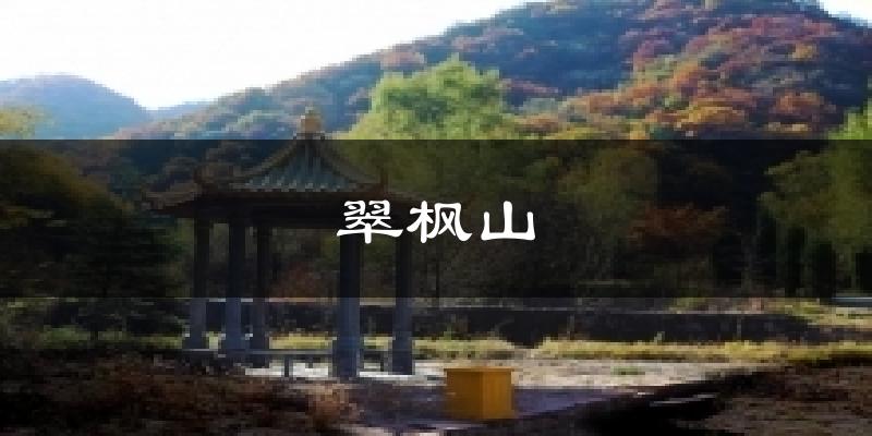 翠枫山今日天气