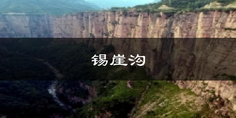 锡崖沟今日天气